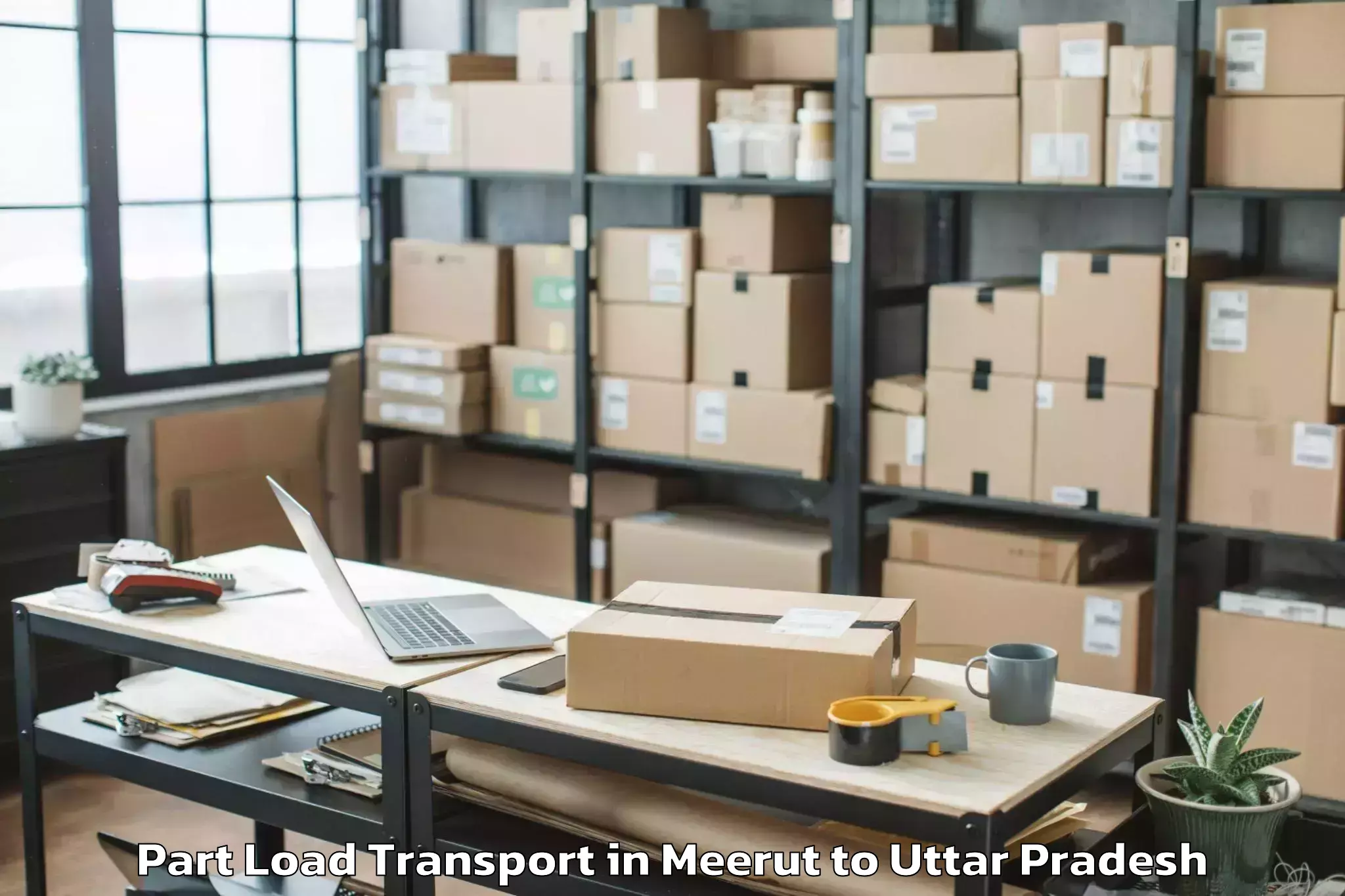 Quality Meerut to Wave Mall Lucknow Part Load Transport